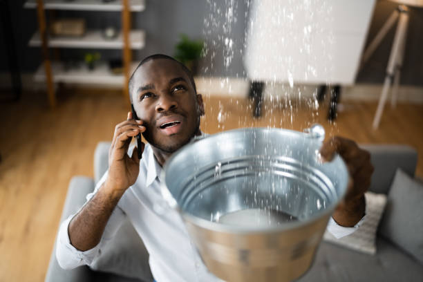 Best Basement water damage restoration  in Diberville, MS