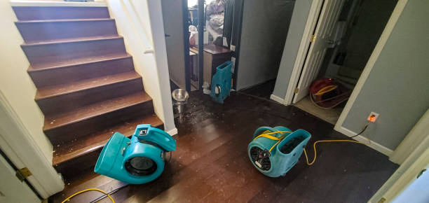 Best Water damage contractors near me  in Diberville, MS
