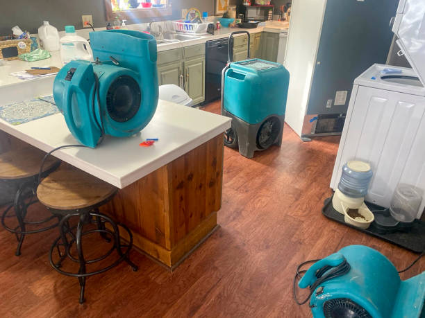 Best Fire Damage Restoration  in Diberville, MS
