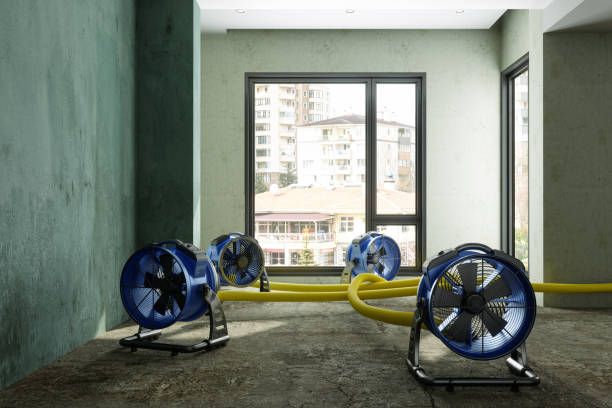Best Water damage restoration mold remediation  in Diberville, MS