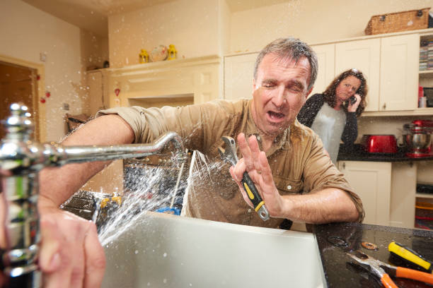 Best Mold removal after water damage  in Diberville, MS
